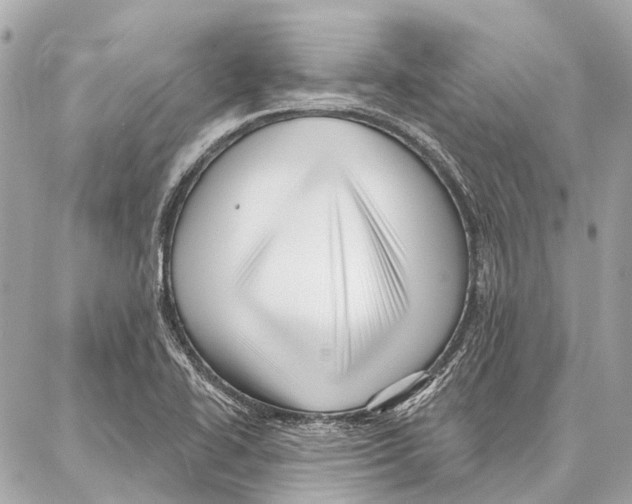 X0000086981414200705141704