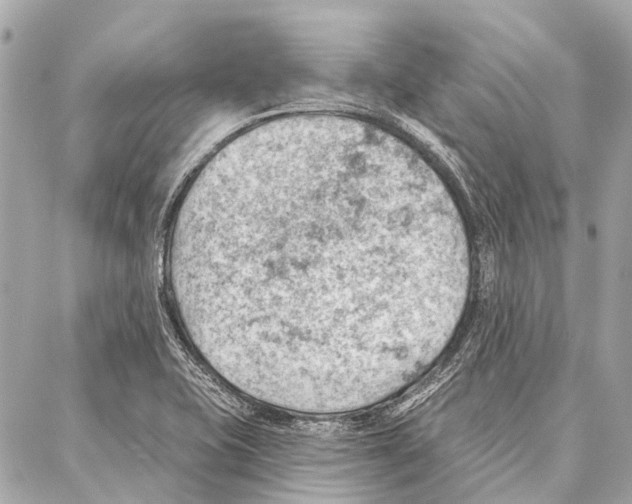 X0000086981415200705141704