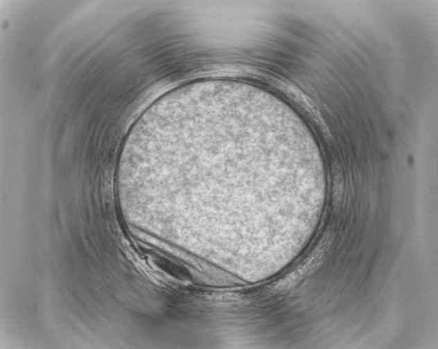 X0000086981417200705141704