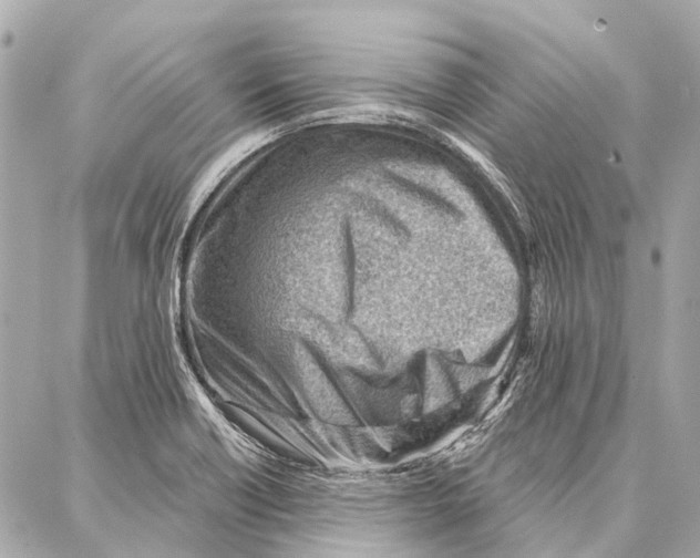 X0000086981418200705141704