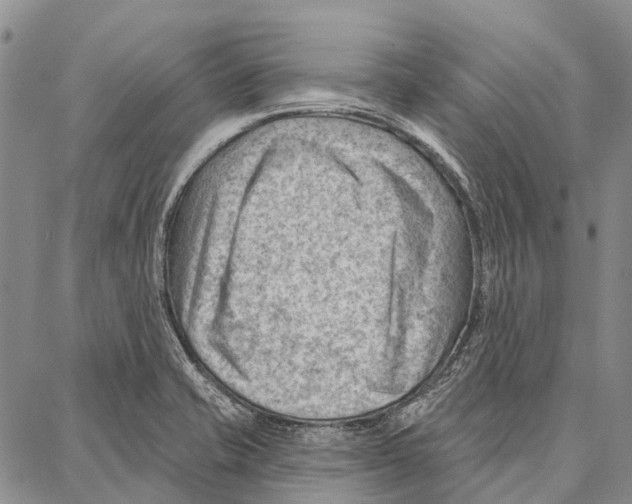 X0000086981421200705141704