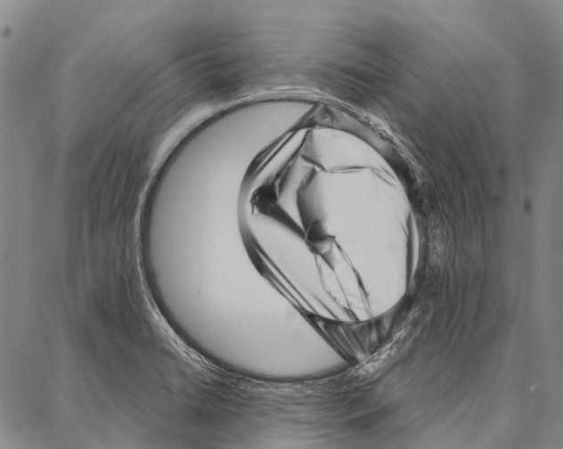 X0000086981422200705141704