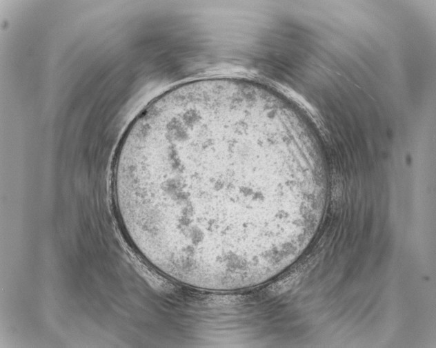 X0000086981423200705141704