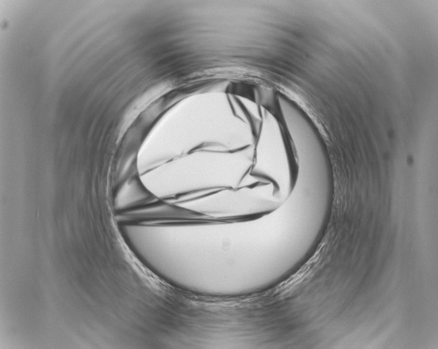 X0000086981426200705141704