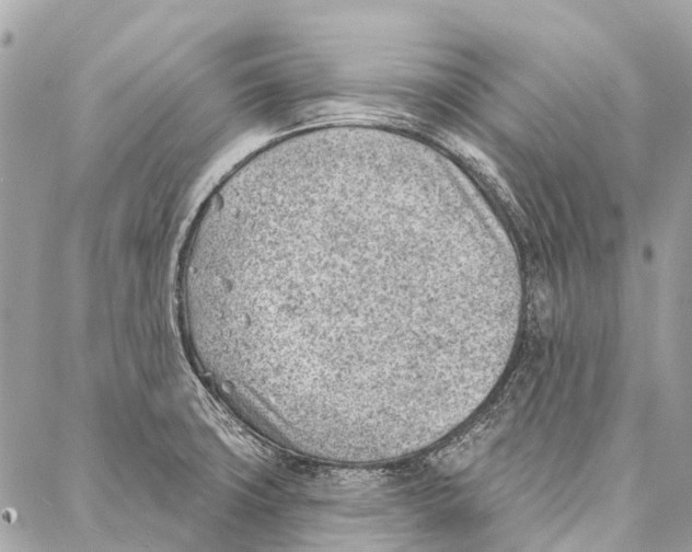 X0000086981427200705141704