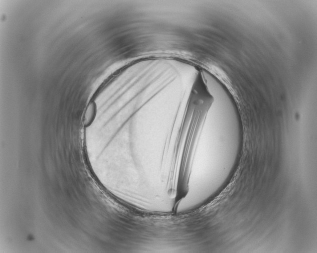 X0000086981428200705141705