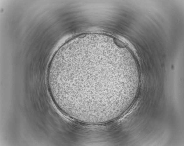 X0000086981429200705141705