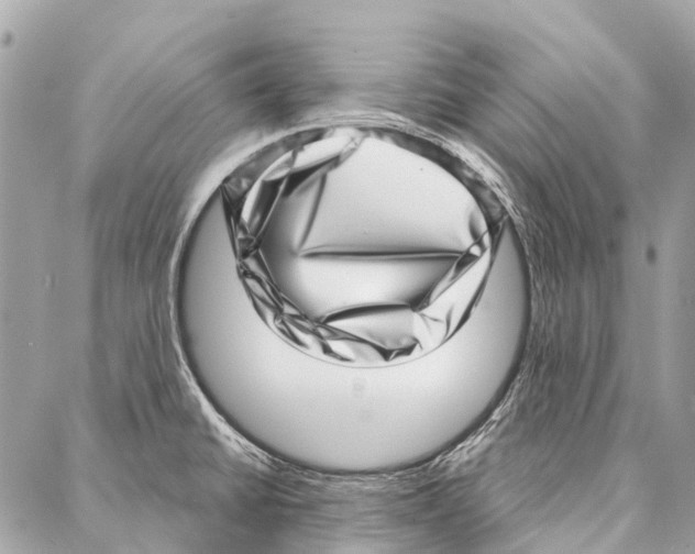 X0000086981430200705141705