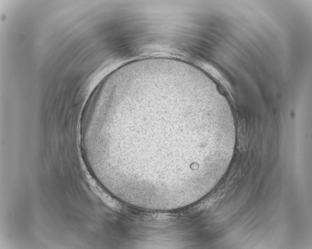 X0000086981431200705141705