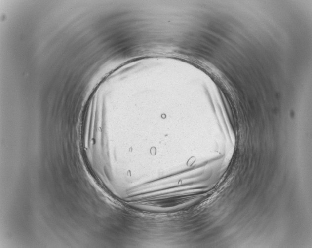 X0000086981432200705141705