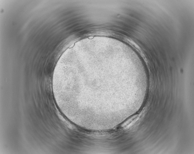 X0000086981433200705141705