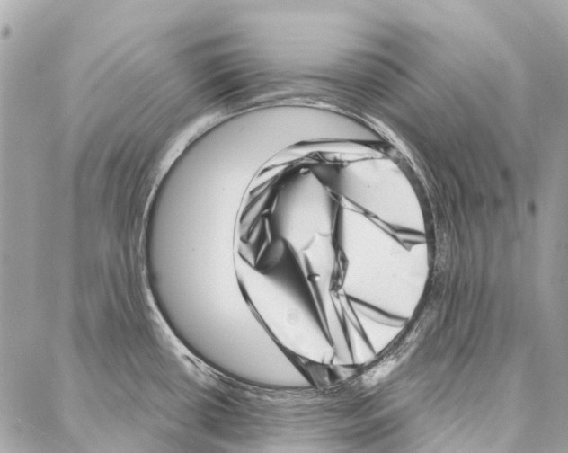 X0000086981434200705141705