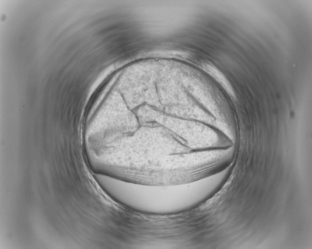 X0000086981436200705141705