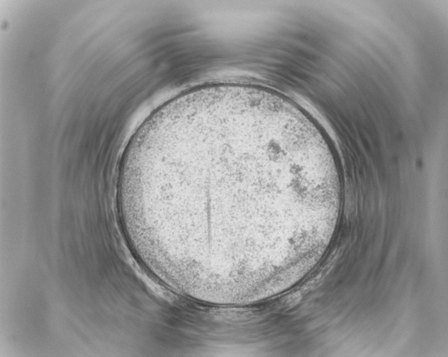 X0000086981437200705141705