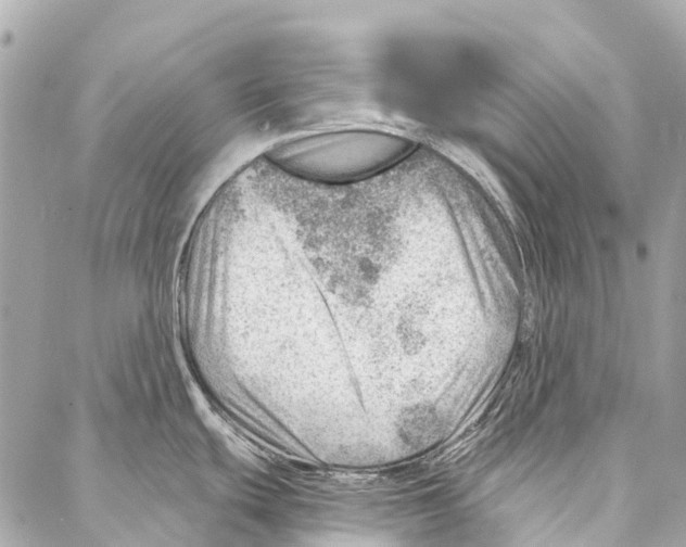 X0000086981439200705141705