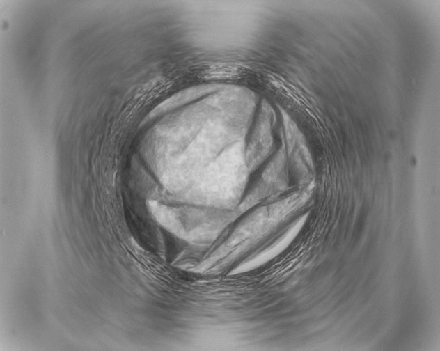 X0000086981441200705141704