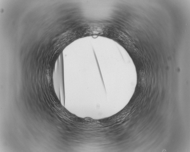 X0000086981442200705141704