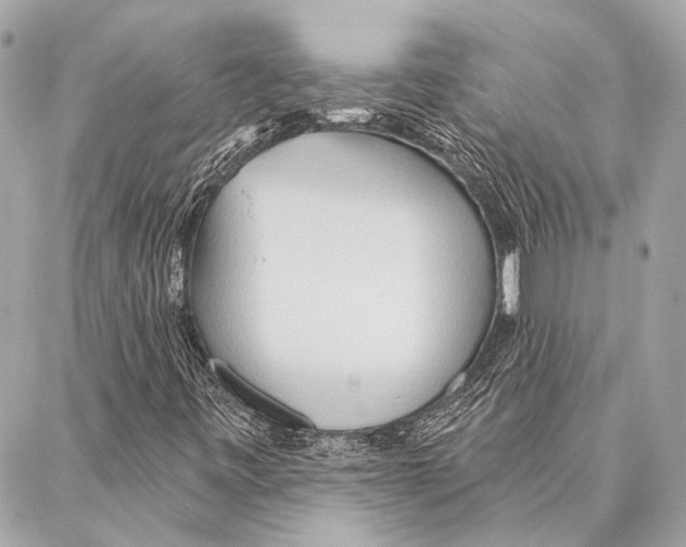 X0000086981443200705141704