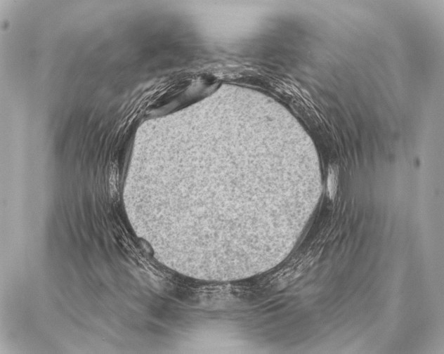 X0000086981444200705141704