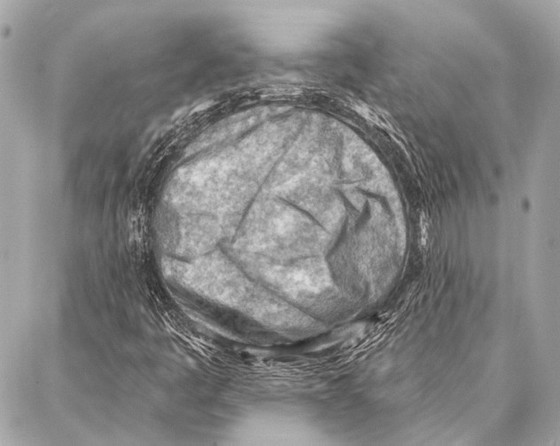 X0000086981445200705141704