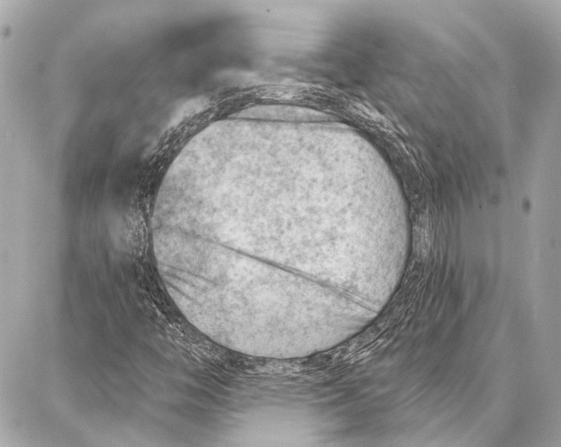 X0000086981446200705141704