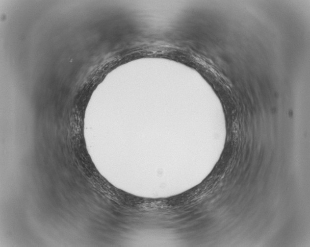 X0000086981447200705141704