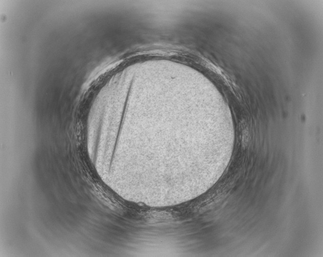 X0000086981448200705141704