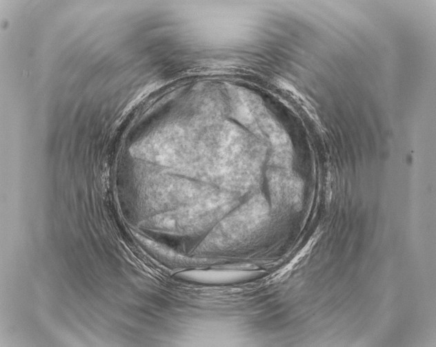 X0000086981449200705141704