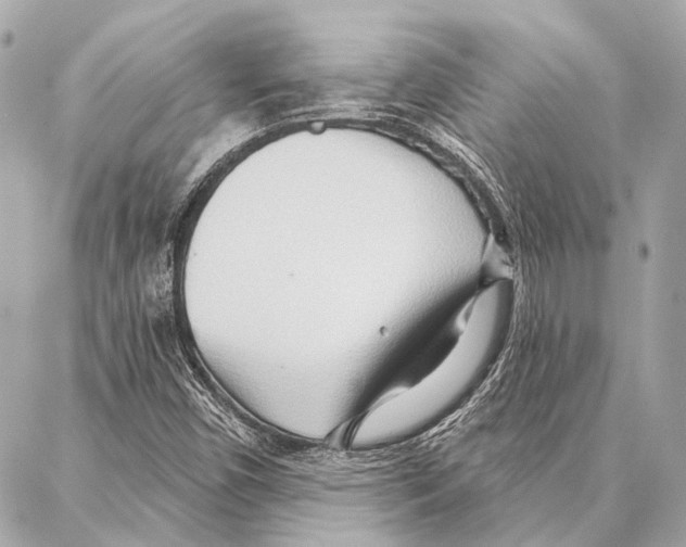 X0000086981450200705141704