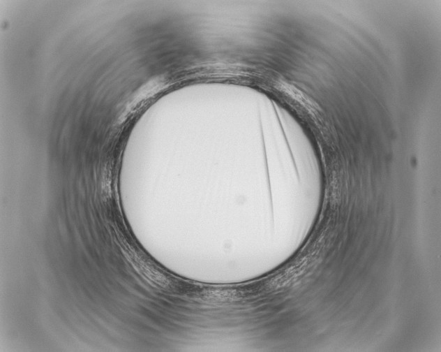 X0000086981451200705141704