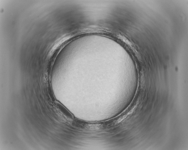 X0000086981453200705141704