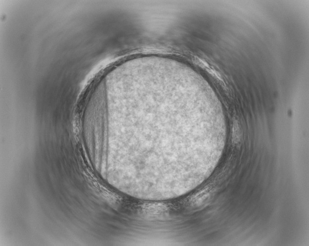 X0000086981454200705141704