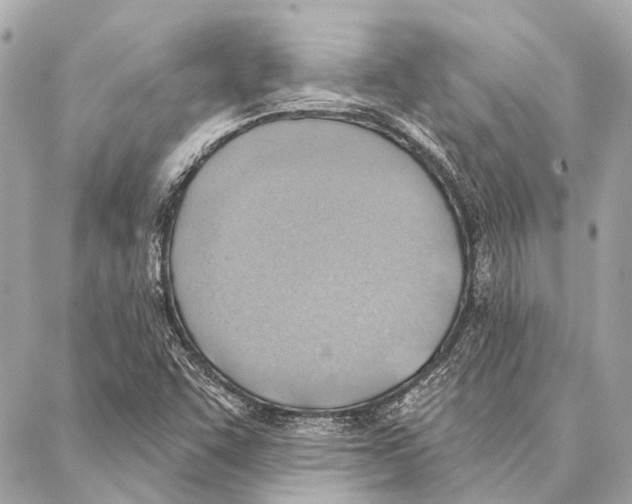 X0000086981455200705141704