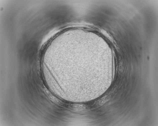 X0000086981456200705141704