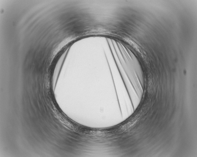 X0000086981458200705141704