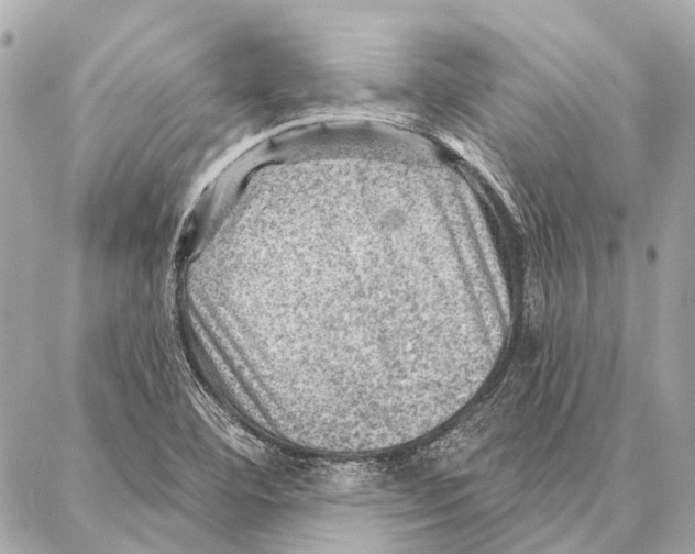 X0000086981460200705141704