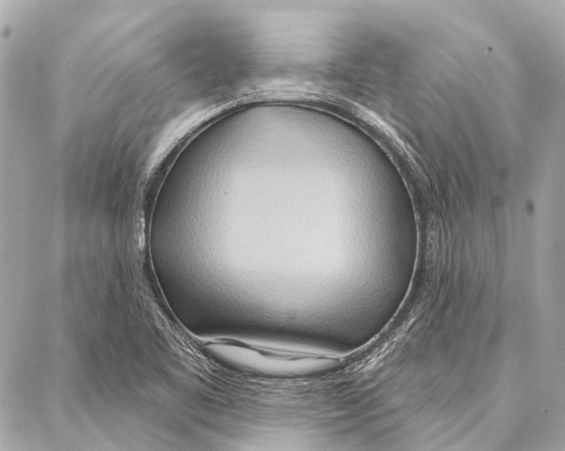 X0000086981461200705141704