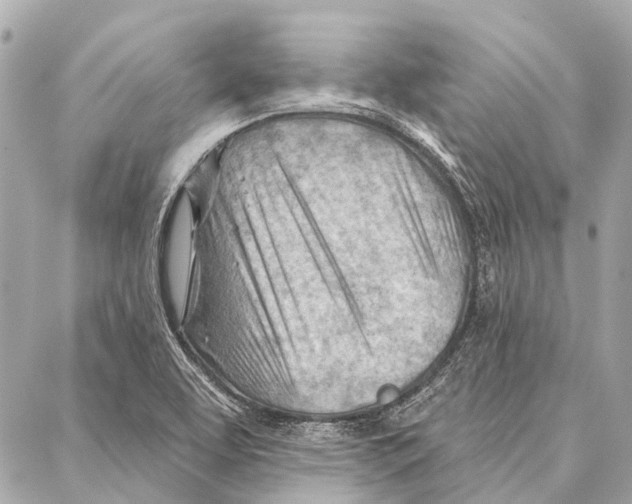 X0000086981463200705141704