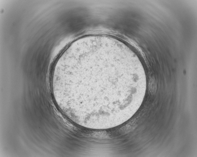 X0000086981464200705141704