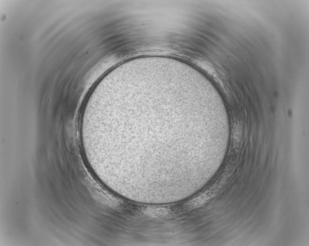 X0000086981466200705141704