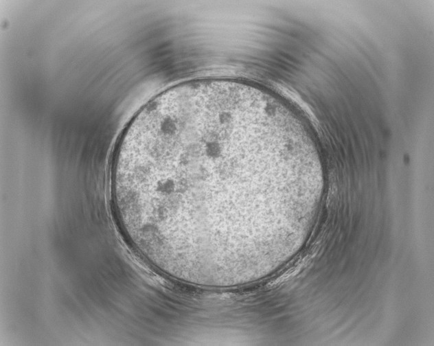 X0000086981467200705141704