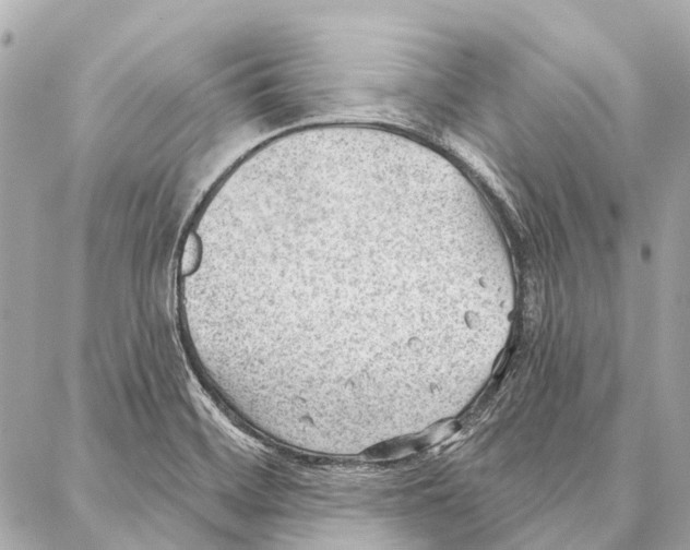 X0000086981468200705141703