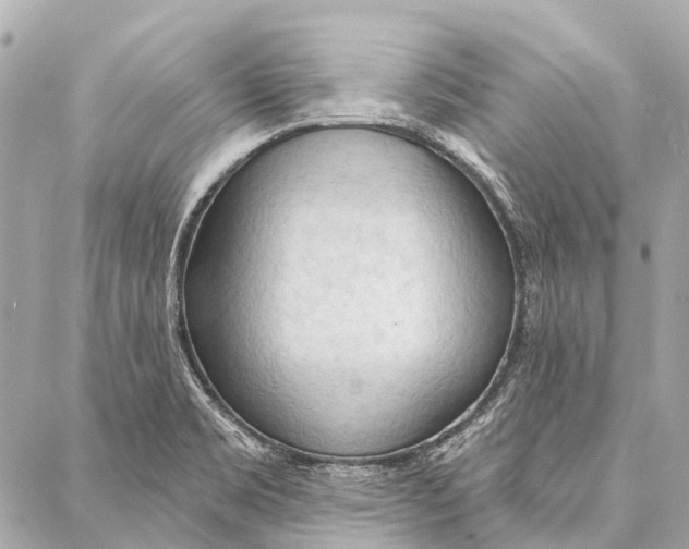 X0000086981469200705141703