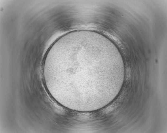 X0000086981470200705141703