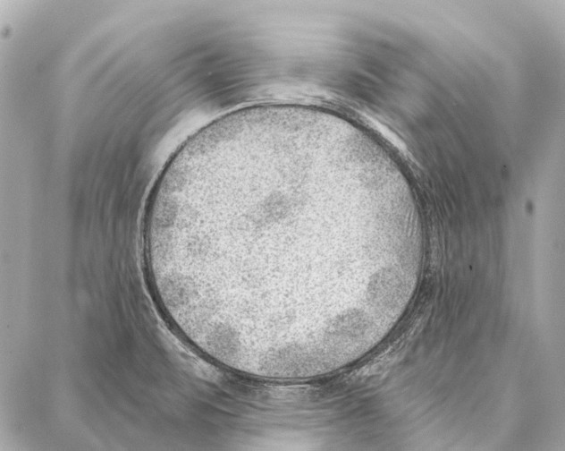 X0000086981471200705141703