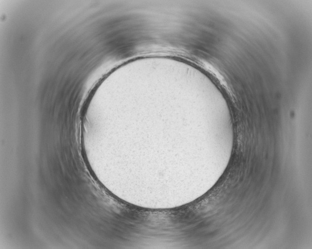 X0000086981472200705141703