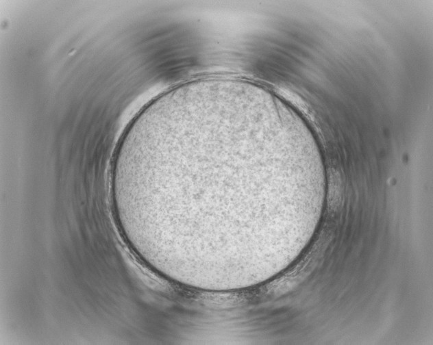 X0000086981474200705141703