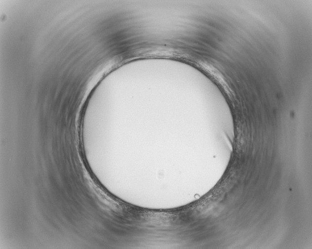 X0000086981475200705141703