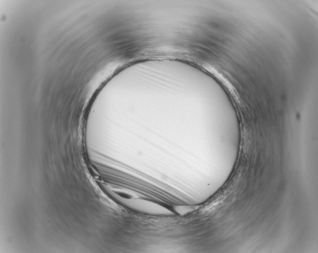 X0000086981477200705141703