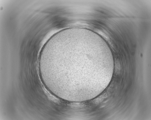 X0000086981478200705141703